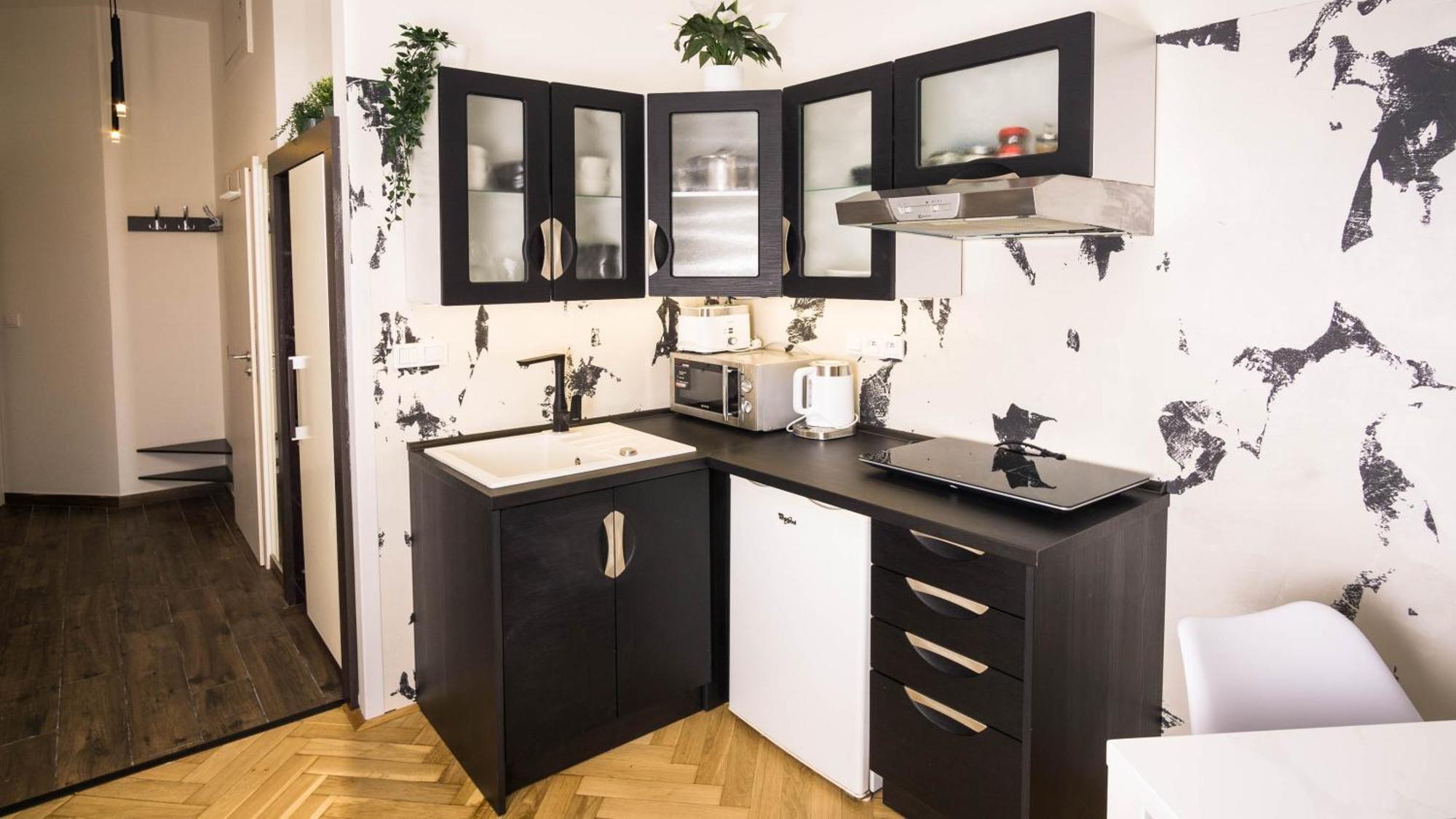 Black & White Apartment Prague By Wenceslas Square And Muzeum Zewnętrze zdjęcie